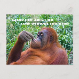 Ik mis je Funny Orangutan Briefkaart