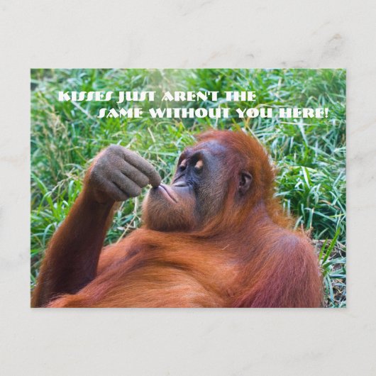 Ik mis je Funny Orangutan Briefkaart (Voorkant)