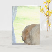 Ik mis je gele lab kaart (Gele Bloem)