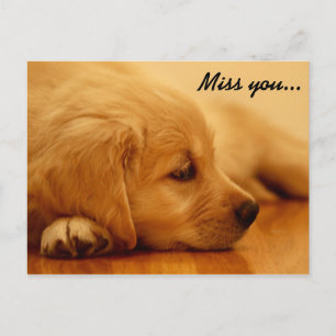 Ik mis je! Golden Retriever Puppy Briefkaart