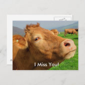 "Ik mis je" Grappig Koe briefkaart (Voorkant / Achterkant)
