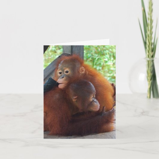 Ik mis je kaart (Voorkant)