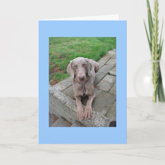 Ik mis je kaart (Voorkant)