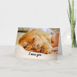Ik mis je, Oranje Maine Coon Cat. Kaart