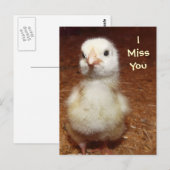 Ik mis je! Sad Baby Chick Briefkaart (Voorkant / Achterkant)