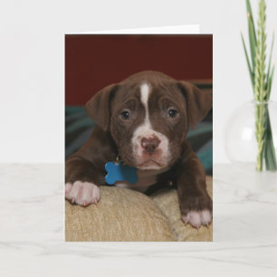Ik mis je - Schattigee pitpuppy Feestdagen Kaart