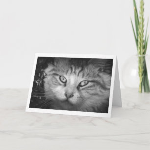 Ik mis je Wenskaart - B&W Kat Kaart