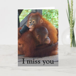 Ik mis jou en je knuffels Kaart