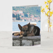 Ik mis u kaart (Gele Bloem)