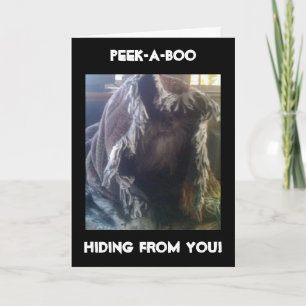 IK MISSEERDE UW BIRTHDAY SHAME OP MIJ KAART