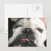 Ik moet stoppen met drink. briefkaart (Voorkant / Achterkant)