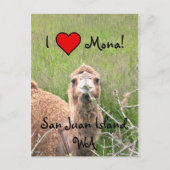 Ik ♥ Mona! Briefkaart (Voorkant)