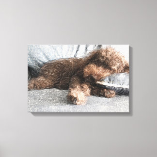 Ik ❤️ Naps Poodle Canvas Afdruk