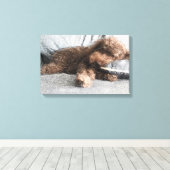 Ik ❤️ Naps Poodle Canvas Afdruk (Insitu (Houten vloer))