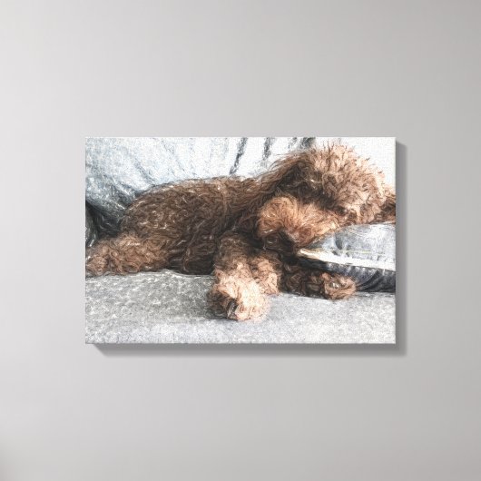 Ik ❤️ Naps Poodle Canvas Afdruk (Voorkant)
