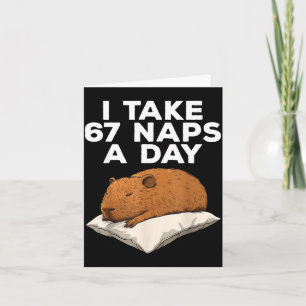 Ik neem 67 dutjes per dag Funny Capybara Six Seven Kaart