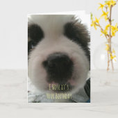 Ik neus dat het je Kaart is (Gele Bloem)