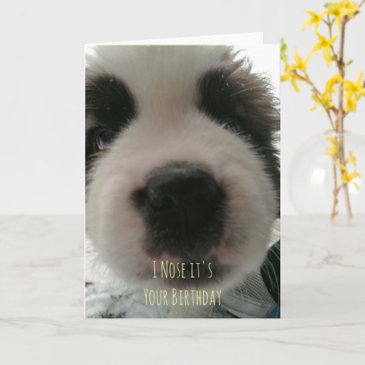 Ik neus dat het je Kaart is (Gele Bloem)