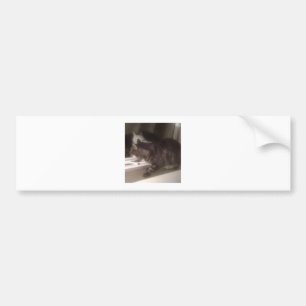 Ik praat niet met je Dave Bumpersticker