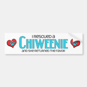 Ik redde een Chiweenie (Vrouw) ontwerp van de Dog Bumpersticker