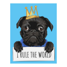 Ik regel het World Pug