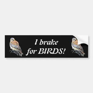 Ik rem voor Birds Kestrel of Falcon Waterverf Bumpersticker