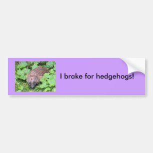 Ik rem voor egels! bumpersticker