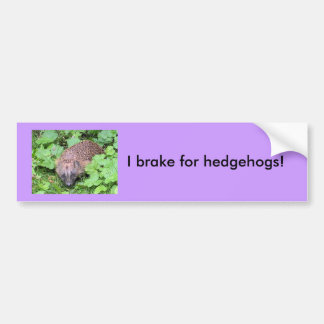 Ik rem voor egels! bumpersticker