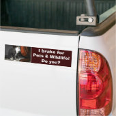 "IK REM VOOR HUISDIEREN" Cat Kitten Bumpersticker (Op Truck)