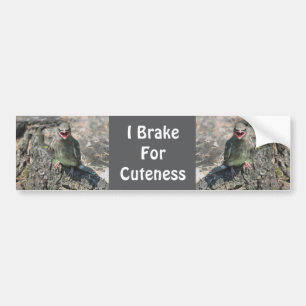 Ik rem voor schattigheid Baby Bird Bumpersticker
