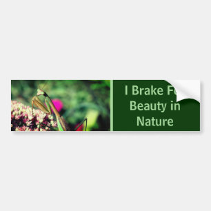 Ik Rem Voor Schoonheid Biddende Mantis Natuur Bumpersticker