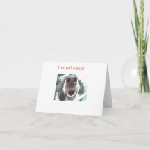 "Ik ruik taart!" Dog Nose Birthday-kaart