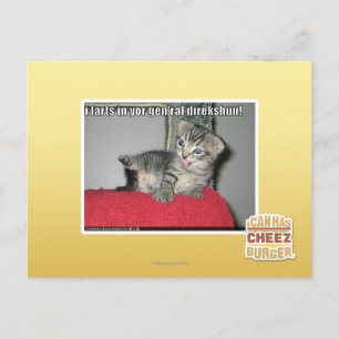 Ik scheten in je generaal direkshun briefkaart