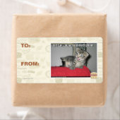 Ik scheten in je generaal direkshun etiket (Insitu)