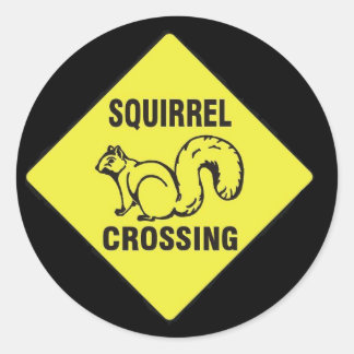 Ik schopte een eekhoorn stickers