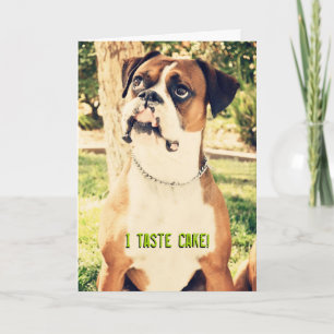 Ik smaakje! Boxer Birthday Card Kaart