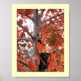 Ik spioneer... poster