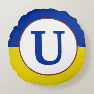 Ik sta op het blauwe gele vlagmonogram van Oekraïn Rond Kussen