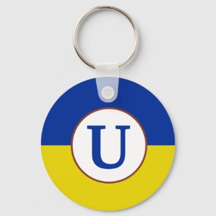 Ik sta op het blauwe gele vlagmonogram van Oekraïn Sleutelhanger
