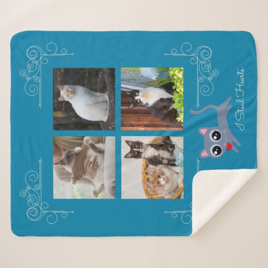 Ik steel harten aangepaste foto sherpa deken (Voorkant (horizontaal))