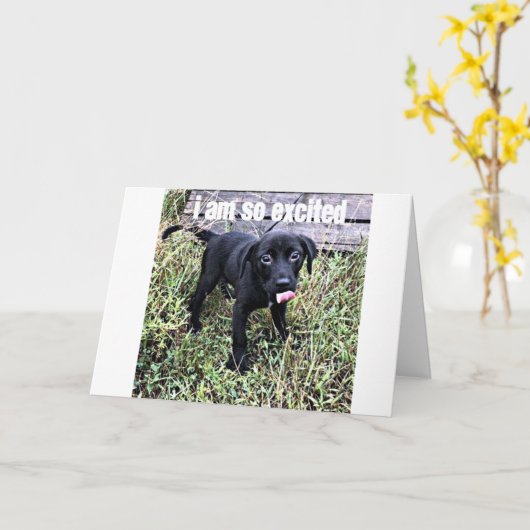 IK STUUR EEN GLIMLACH EN ZEG *** GEFELICITEERD *** KAART (Gele Bloem)