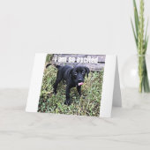 IK STUUR EEN GLIMLACH EN ZEG *** GEFELICITEERD *** KAART (Voorkant)