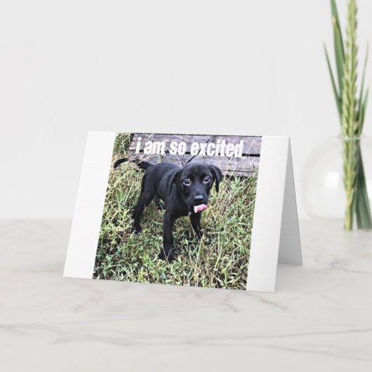 IK STUUR EEN GLIMLACH EN ZEG *** GEFELICITEERD *** KAART (Voorkant)