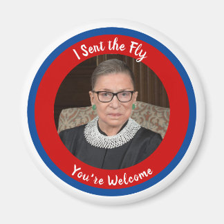 Ik stuurde de Fly - RBG Magneet