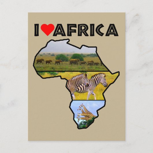 Ik verhit Afrika Briefkaart van wilde dieren (Voorkant)