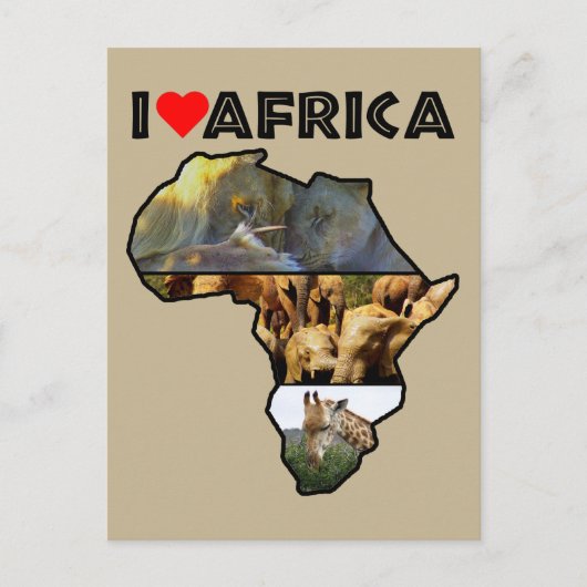 Ik verhit Afrika Briefkaart van wilde dieren (Voorkant)