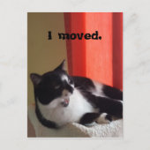 Ik verhuisde Schattige Tuxedo Cat Talking Photo Br Briefkaart (Voorkant)