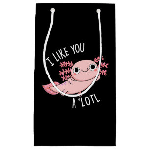 Ik vind je een leuke Axolotl Pun Dark BG leuk Klein Cadeauzakje