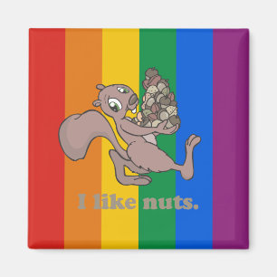 IK VIND NUTS MAGNEET