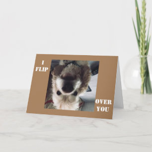 *IK VLIEG OVER JE* OP HET BIRTHDAY SHOW U HOEVEEL  KAART